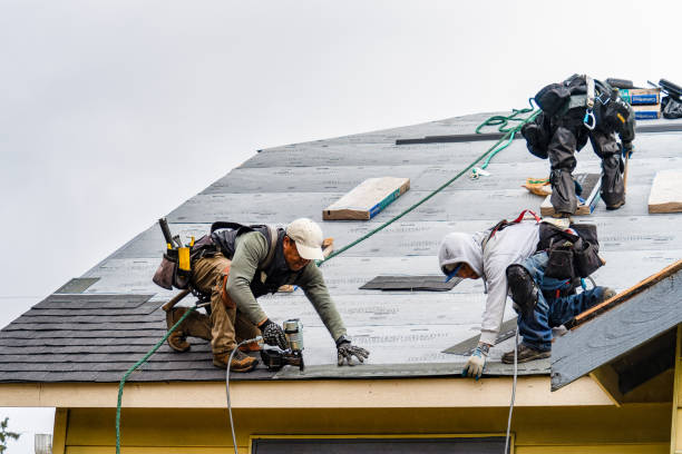 Professional Storm Damage Roof Repair technician working in Raymond, WA